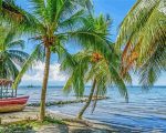 Honduras Coast paint by numbers