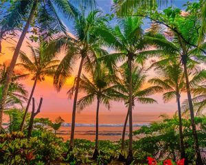 Honduras Palms paint by numbers