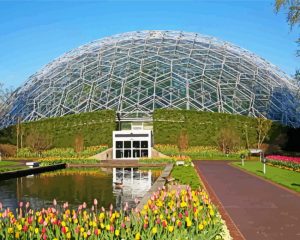 Missouri Botanical Garden St Louis paint by number