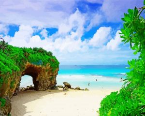 Okinawa beach paint by numbers