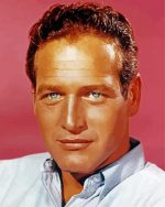 Paul Newman paint by numbers