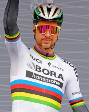 Peter Sagan Paint by numbers