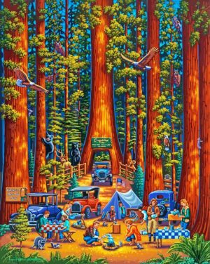 Redwoods National Park paint by numbers