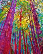 Redwoods Art paint by numbers