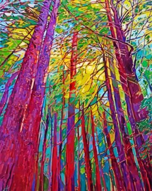 Redwoods Art paint by numbers