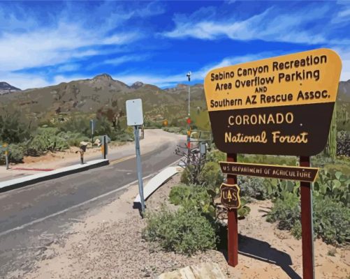 Sabino Canyon Arizona paint by numbers