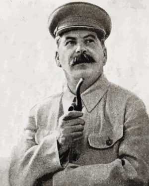 Black And White Stalin paint by numbers