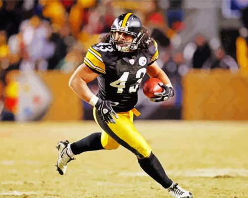 Troy Polamalu american footballer paint by number