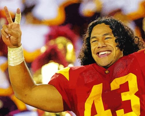 Troy Polamalu paint by number