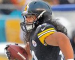 Troy Polamalu player paint by numbers