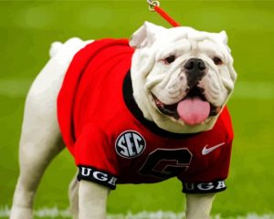 Adorable Georgia Bulldogs paint by numbers