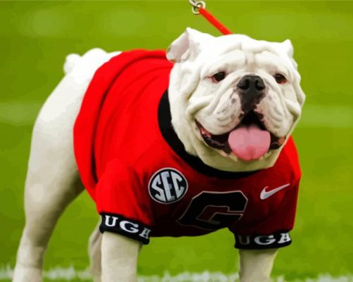 Adorable Georgia Bulldogs paint by numbers