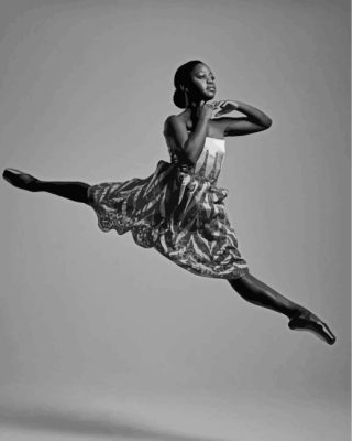 Aesthetic Black Ballerina paint by numbers