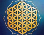 Flower of Life paint by numbers