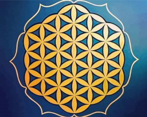 Flower of Life paint by numbers