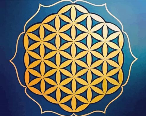 Flower of Life paint by numbers