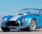 Aesthetic Shelby Cobra paint by numbers
