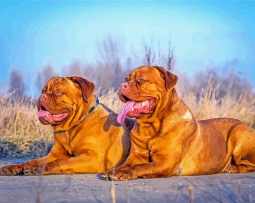 Aesthetic Bordeaux Dog paint by numbers 