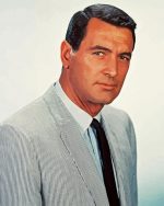 American Rock Hudson paint by numbers