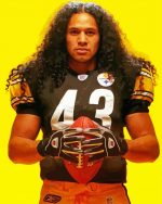 american footballer Troy Polamalu paint by numbers