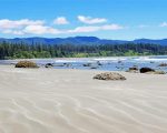 beautiful beach in Vancouver island paint by number