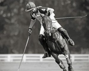 black and White Polo paint by numbers