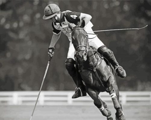 black and White Polo paint by numbers