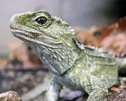 close up dinosaur lizard new zealand paint by numbers