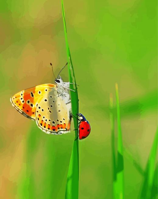 Cute Butterfly And Ladybug paint by numbers