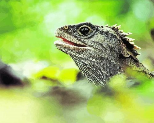 dinosaur lizard new zealand head paint by number