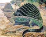 dinosaur lizard with sail reptile art paint by numbers