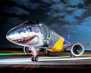 e190 aircraft shark art paint by number