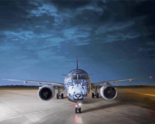 e190 aircraft white tiger art paint by number