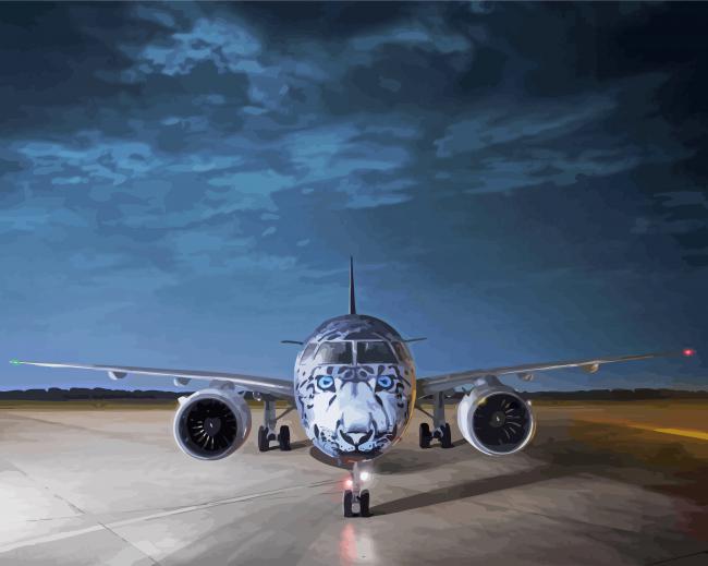 e190 aircraft white tiger art paint by number
