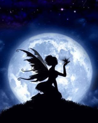Fairy In Night Moon paint by numbers