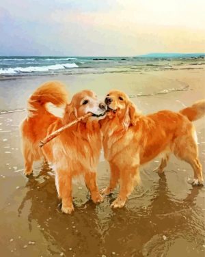 Golden Retrievers paint by number
