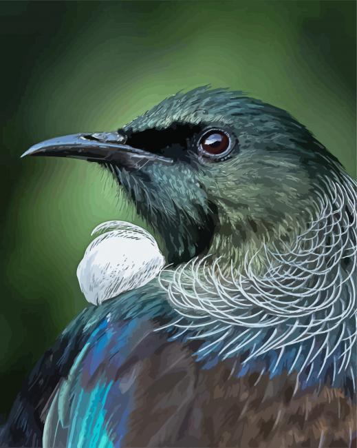 Honeyeater Tui Paint by numbers