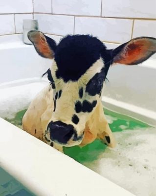 little Cow in bathtub paint by number