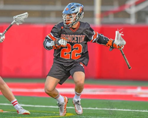 Lacrosse Ball paint by numbers