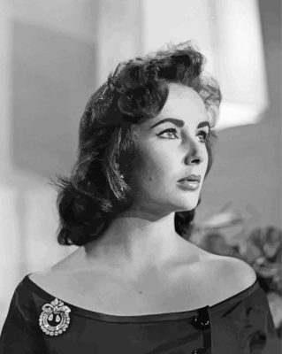 Monochrome Elizabeth Taylor paint by numbers