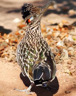 Roadrunner paint by numbers