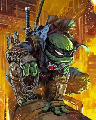 Ronin Ninja Character paint by numbers