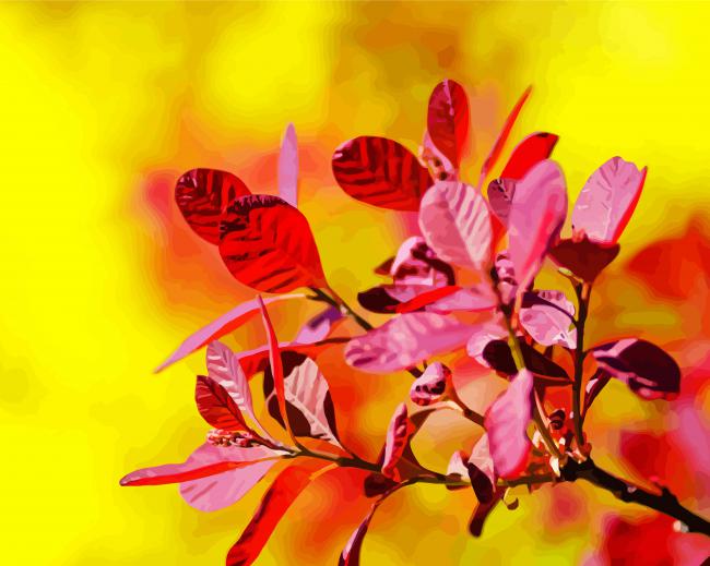 smoke bush leaves paint by numbers