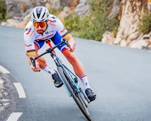 The Bicycler Sagan Peter Paint by numbers