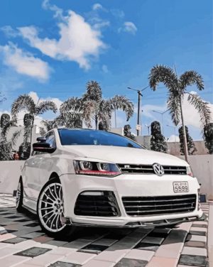 white Polo paint by numbers