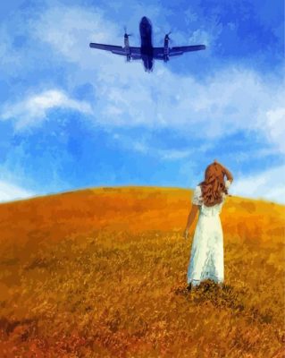Woman In Field Looking Up At An Airplane Paint by numbers