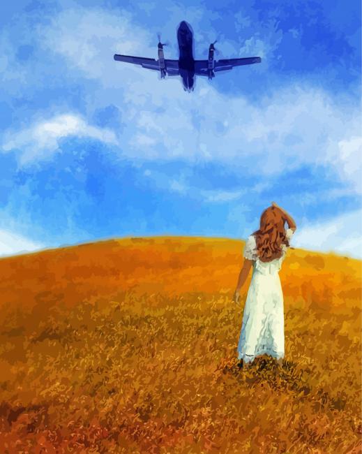 Woman In Field Looking Up At An Airplane Paint by numbers