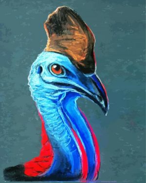 Cassowary bird art paint by numbers