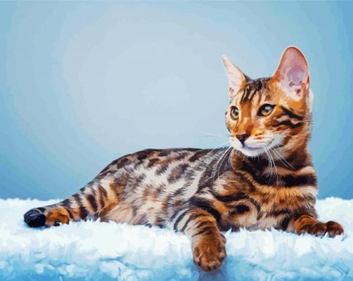 Cat Tiger paint by numbers
