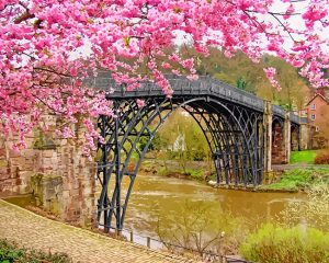 Cherry Blossom Ironbridge coalbrookdale uk paint by number
